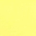 Canary Yellow **END OF BOLT**