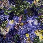 Flower Fairies Night Fairies In Nite