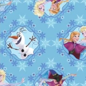 Disney Frozen Sisters Ice Skating Framed