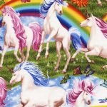 Unicorns And Rainbows