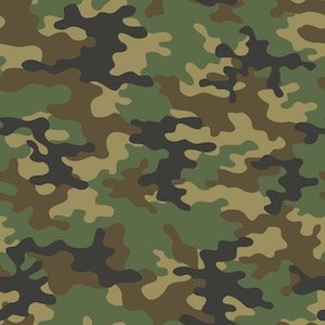 Camouflage.jpeg