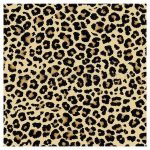 Leopard Digital Print