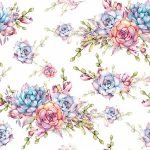 Succulents Digital Print