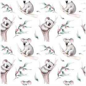 Pre-Order Koalas In Trees