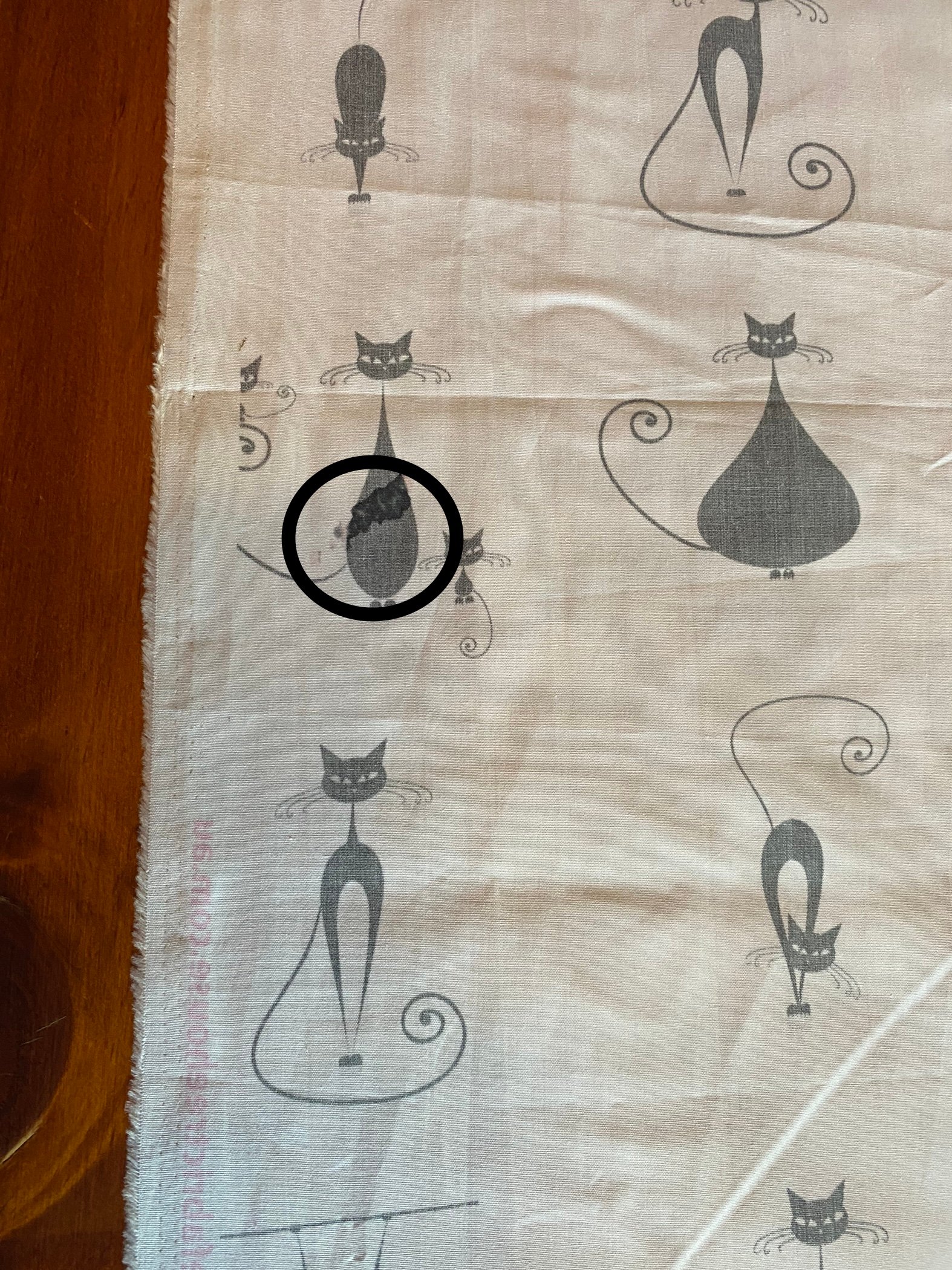 CheekyBlackCatsOnWhiteDamabed2