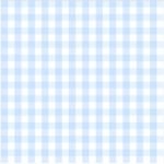 Pre-Order Baby Blue Gingham Mini