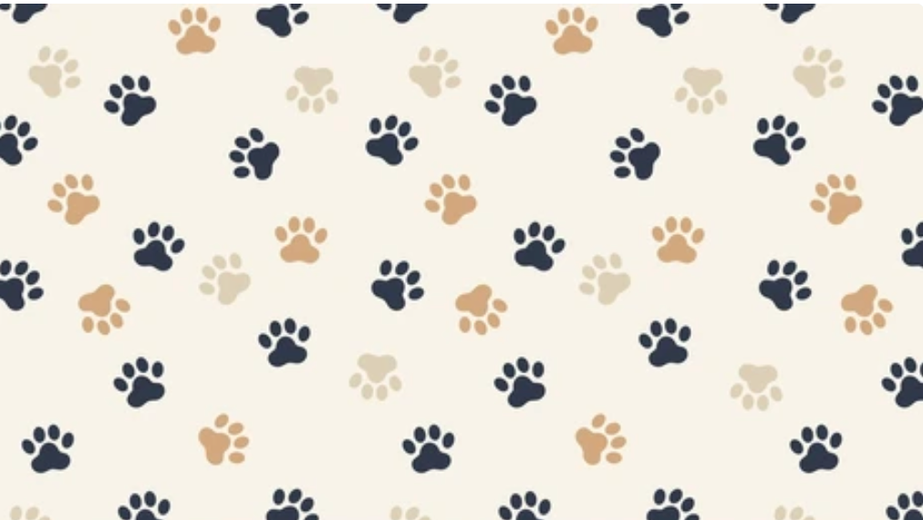 Paw Prints On Tan