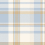 Pre-Order Country Cowboy Plaid